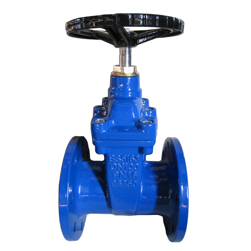 Resilient_Wedge_Gate_Valves