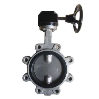 Lug_Type_Butterfly_Valve